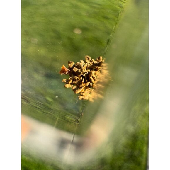 0.10 grams of Alaska Gold Flakes in Jar - Picture 7 of 9